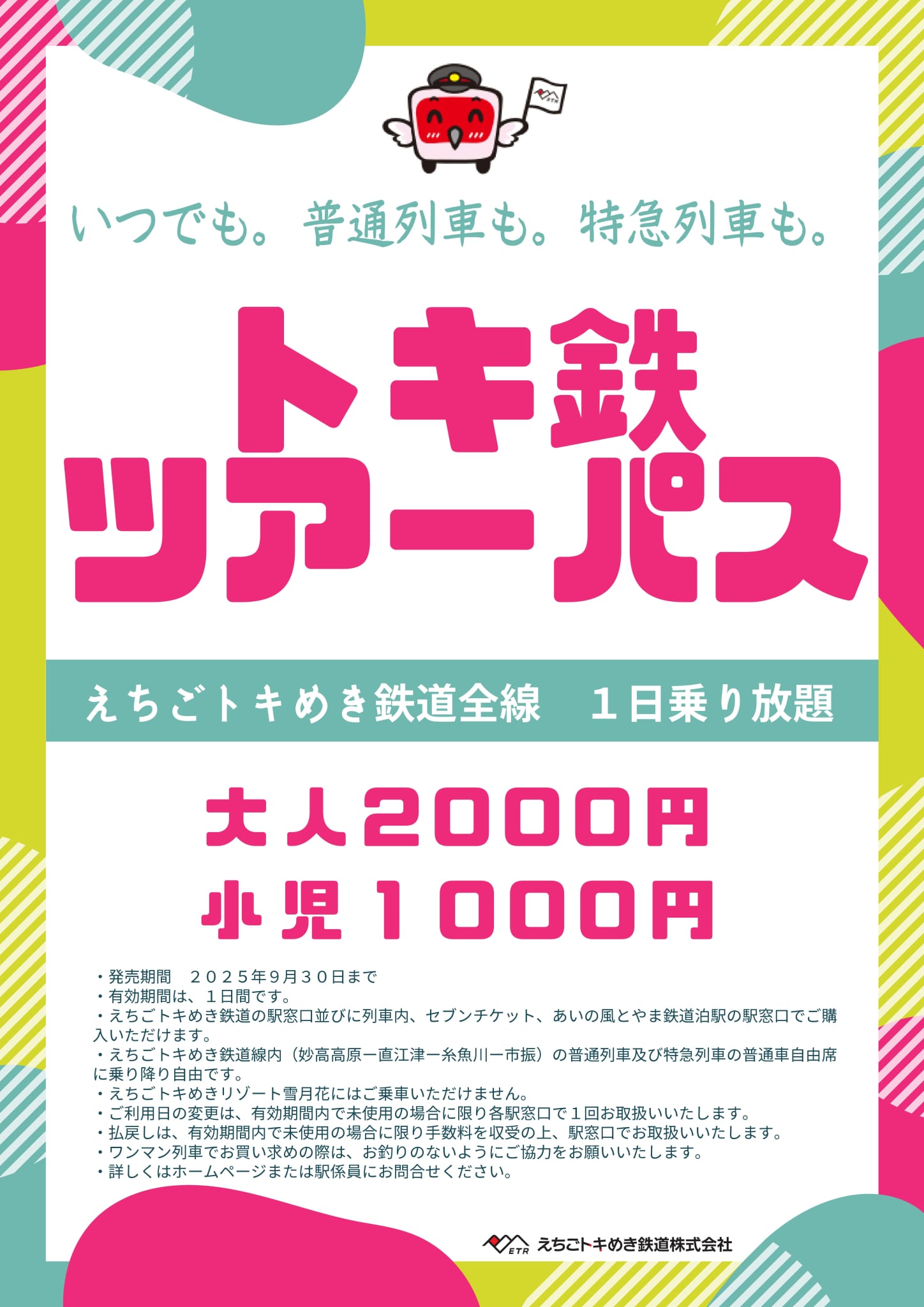 トキ鉄ツアーパスのチラシ