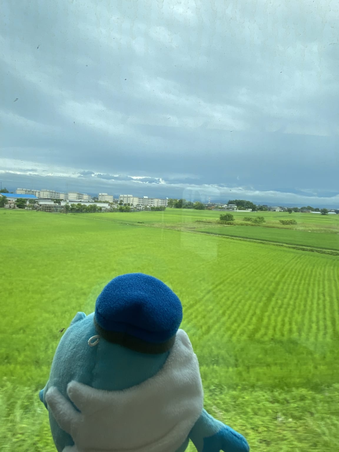 あいの助行ってみた②―2