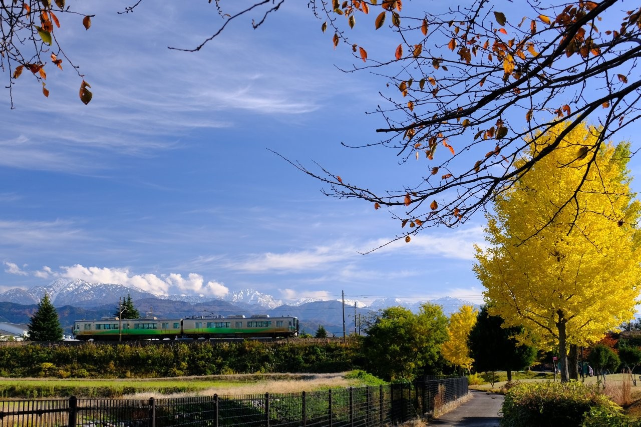 写真コンテスト2026入賞⑦